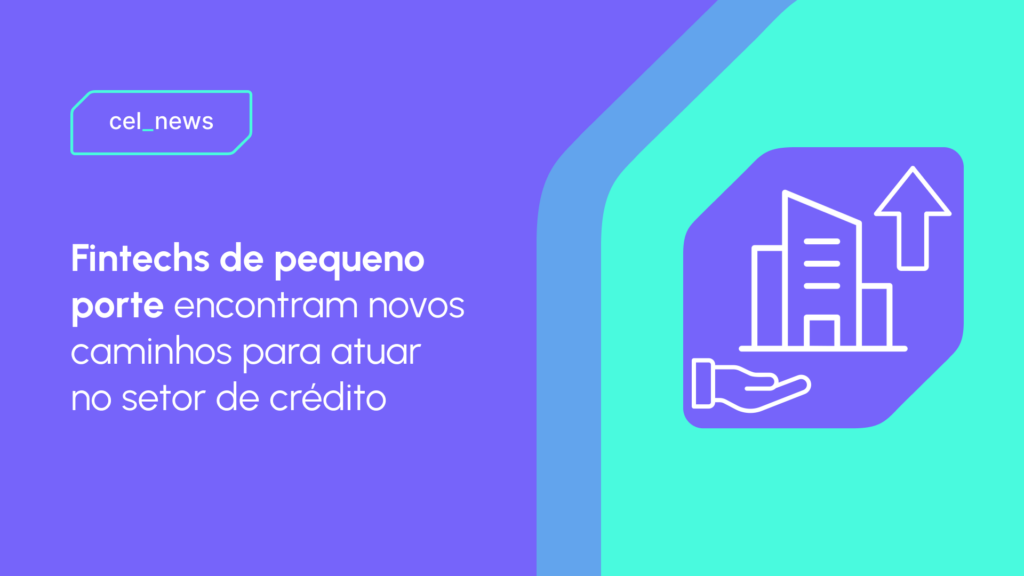 APIs de crédito como diferencial competitivo para fintechs de pequeno porte
