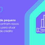 APIs de crédito como diferencial competitivo para fintechs de pequeno porte
